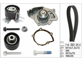Water Pump & Timing Belt Kit 530055831 - INA