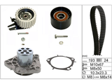 Water Pump & Timing Belt Kit 530056130 - INA