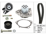 Water Pump & Timing Belt Kit 530056230 - INA