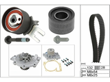 Water Pump & Timing Belt Kit 530058230 - INA