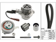 Water Pump & Timing Belt Kit 530065030 - INA