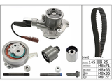 Water Pump & Timing Belt Kit 530065030 - INA