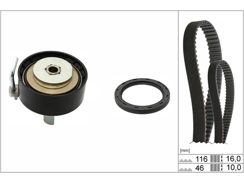 Timing Belt Kit 530070010 - INA