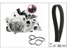 Water Pump & Timing Belt Kit 530074330 - INA
