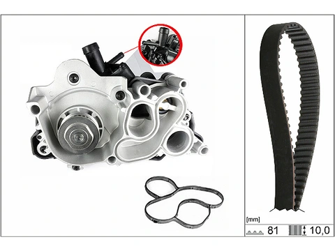 Water Pump & Timing Belt Kit 530074330 - INA