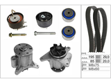 Water Pump & Timing Belt Kit 530076431 - INA
