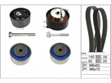 Timing Belt Kit 530076710 - INA