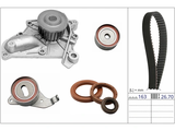 Water Pump & Timing Belt Kit 530086830 - INA