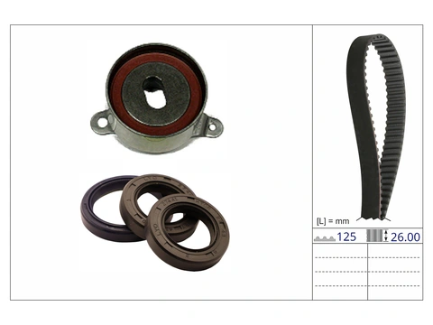 Timing Belt Kit 530088110 - INA