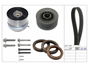 Timing Belt Kit 530089210 - INA