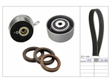 Timing Belt Kit 530089410 - INA