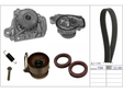 Water Pump & Timing Belt Kit 530089930 - INA