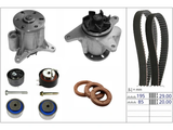 Water Pump & Timing Belt Kit 530090930 - INA