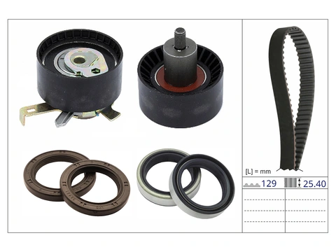 Timing Belt Kit 530093110 - INA