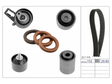 Timing Belt Kit 530093210 - INA