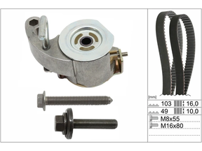 Timing Belt Kit 530094510 - INA