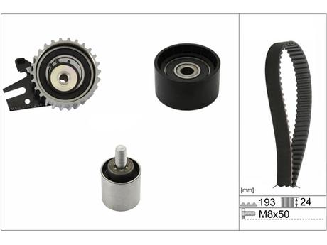 Timing Belt Kit 530096910 - INA