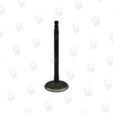 Inlet Valve for Nissan TB48DE — 53060636 — view 1