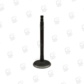 Inlet Valve for Nissan TB48DE — 53060636 — view 1