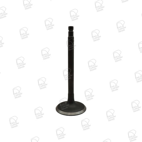 Inlet Valve Nissan TB48DE 53060636 - Kiwi Cylinder Heads