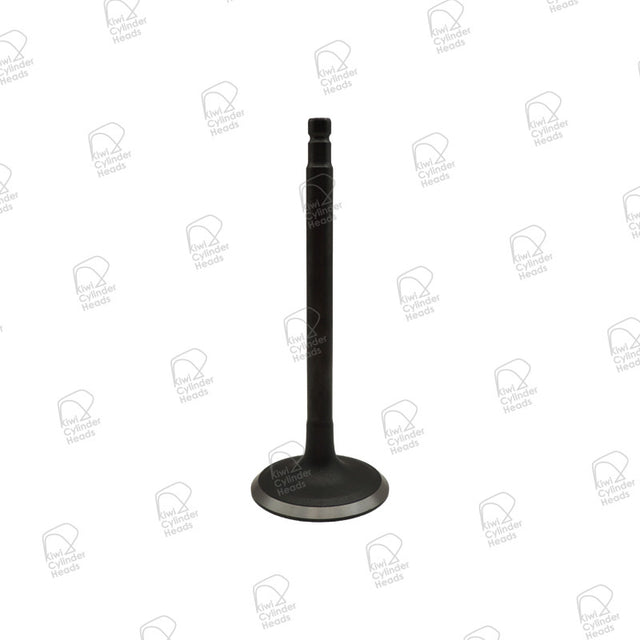 Inlet Valve for Nissan TB48DE — 53060636 — view 1