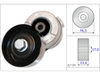 Belt Tensioner V-Ribbed Belt 534034110 - INA