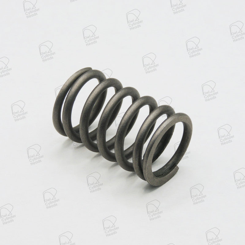 Valve Spring for Ford Transit 2.4 — 54050416 — view 1