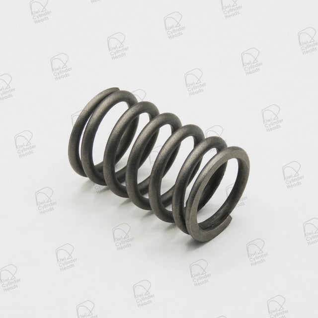 Valve Spring for Ford Transit 2.4 — 54050416 — view 1