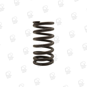 Valve Spring for Nissan TB48DE — 54060688 — view 1