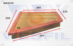 Air Filter A1983 Fits BMW WA5375 - Wesfil