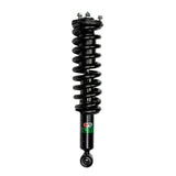 ELITE EASY FIT STRUT ECS - THX - 1 - E - F - EFS - EFS