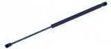 Liftgate Lift Support - FORD Focus - 2010-2016 - Tuff Support