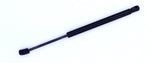 Bonnet Lift Support - CHRYSLER 300 - 2011-2021 - Tuff Support