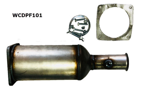 Diesel Particulate Filter RPF313 Citroen WCDPF101 - Cooper