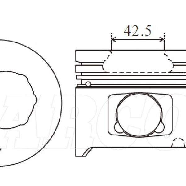 Piston & Pin Set TOYOTA 1HDT LATE 6DP2022-STD - NASON
