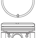 Piston & Pin Set CHRYSLER 245 6CYL HEMI 6P1398-1.00 - Nason