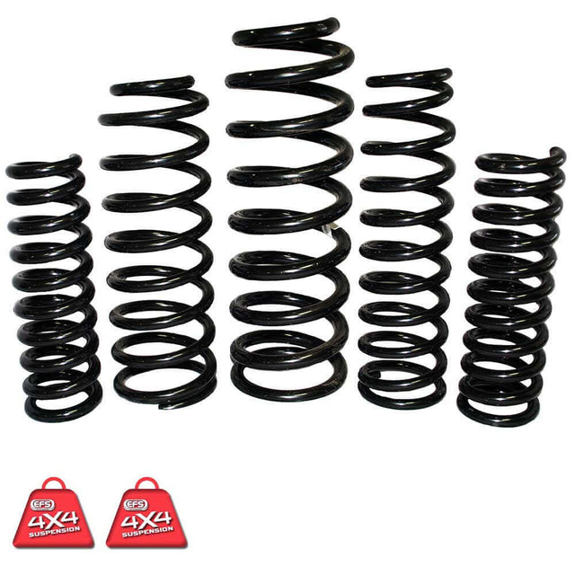 EFS COIL SPRINGS REAR | NIS-114HL4E