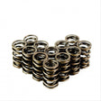 FRD Suitable For Holden VALVE SPRING SET 7333-12 - StrongArm | Universal Auto Spares