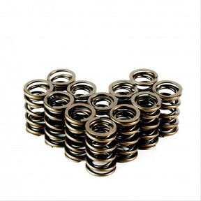 FRD Suitable For Holden VALVE SPRING SET 7333-12 - StrongArm | Universal Auto Spares