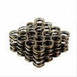 FRD Suitable For Holden VALVE SPRING SET 7333-16 - StrongArm | Universal Auto Spares