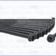 Head Bolt Set HEAD BOLT SET JAGUAR 508PN 81053900 - AJUSA