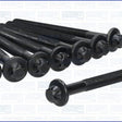 Head Bolt Set HEAD BOLT SET NISSAN V9X 81054800 - AJUSA