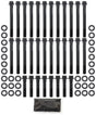 Big Block Chev Head Bolt Kit 12 Point 396 454 OEM Heads BBC AF37-2110 - Aeroflow