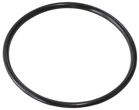 Replacement O-Rings For -16 Cap 1X EPR & 1X Buna N O-Ring AF460-16-KIT - Aeroflow