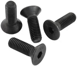 GM LS Camshaft Retaining Platebolts Pack Of 4 GM11561455 AF463-52 - Aeroflow
