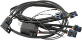 Universal 4 Cylinder Smart Coil Harness Ign -1A Deutsch V8 AF49-1567 - Aeroflow