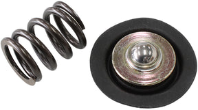 AF66-2058 Replacement Diaphragand Spring Assembly AF59-2065 - Aeroflow