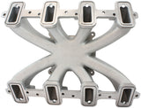 GM LS Carby Intake Manifold Cathedral Port EFI LS1 LS2 Natural AF6050-5000 - Aeroflow