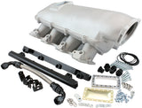 GM LS Modular Intake Manifold Cathedral Port Low Rise EFI Natural AF6063-5000 - Aeroflow