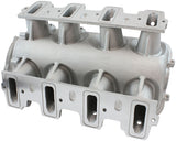 GM LS Modular Intake Manifold Cathedral Port Low Rise EFI Natural AF6063-5000 - Aeroflow